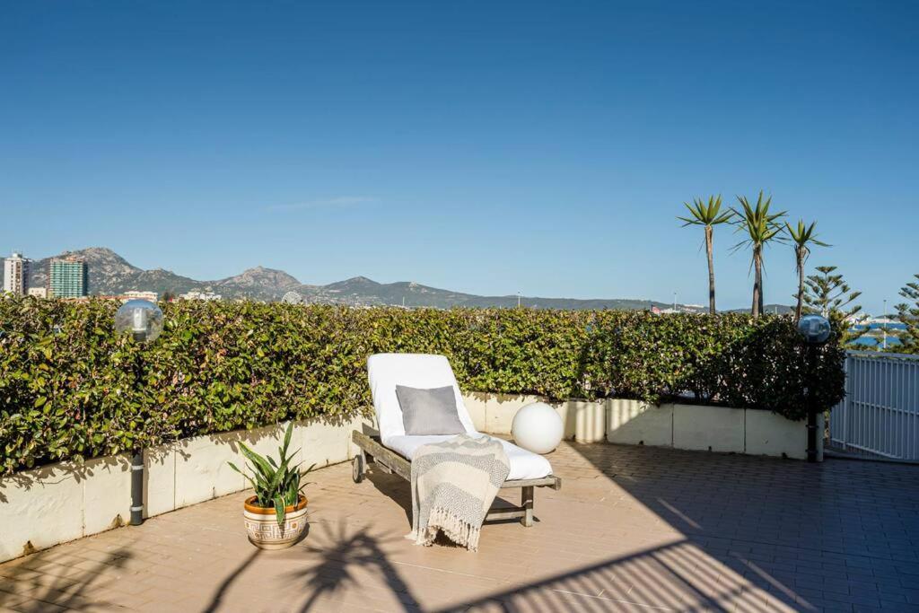 Sunny Rooftop Loft With Gorgeous Views Of ออลเบีย ภายนอก รูปภาพ